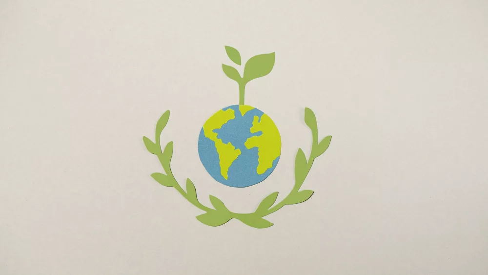 Anna Johnston: A Visionary Architect of Sustainable Change